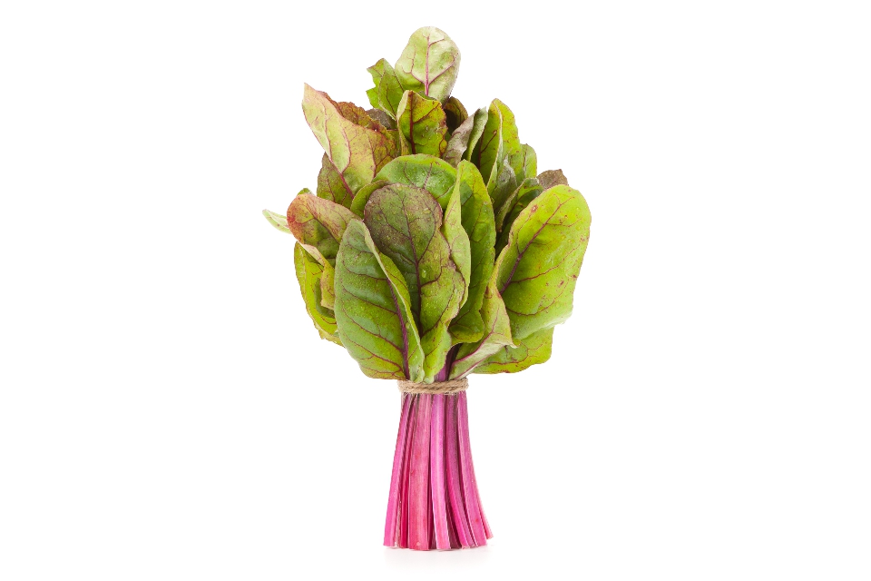 Purple Chard