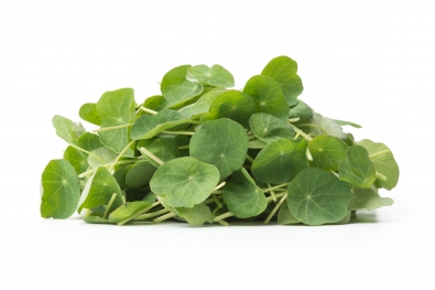 Micro Nasturtium Leaves