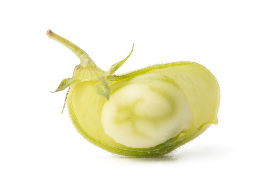 Chickpeas