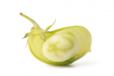 Chickpeas