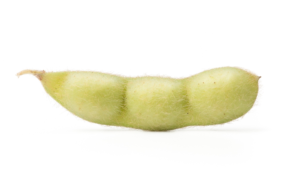 Soybeans