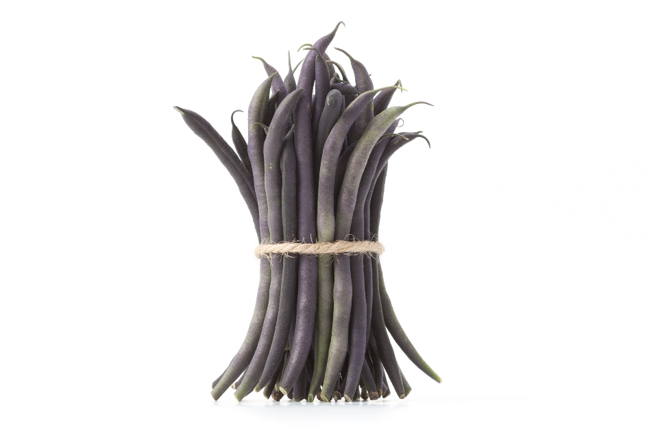 Purple Green Beans
