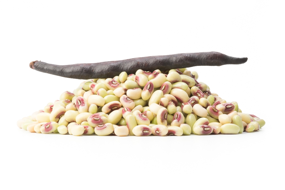 Purple Hull Peas