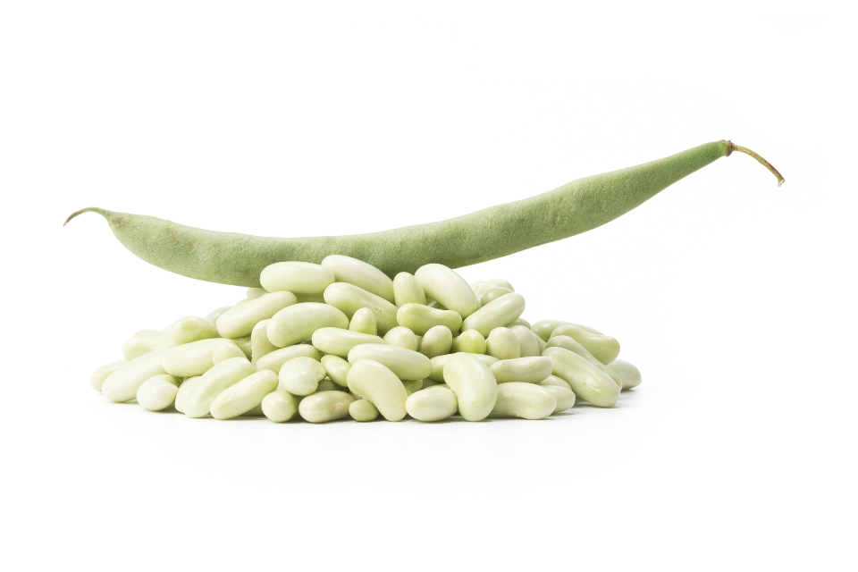 Flageolet Beans