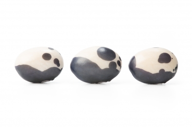 Legumes