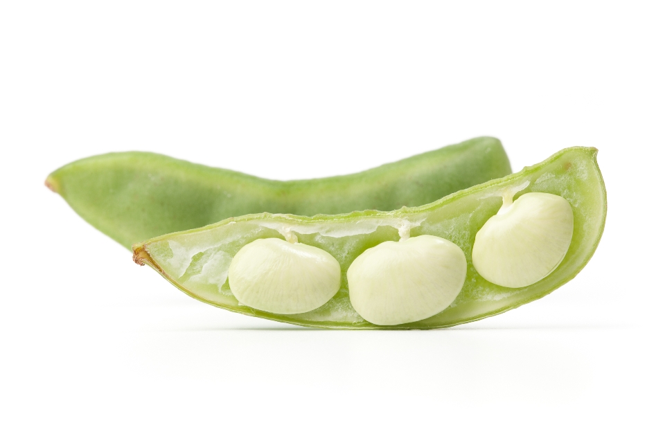 Green Lima Beans