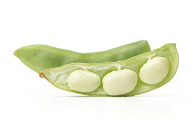 Green Lima Beans
