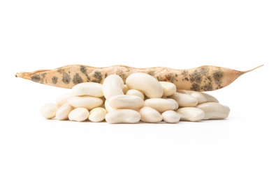 Cannellini Beans