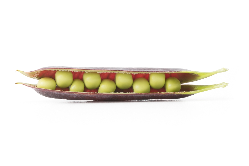 Blauschokker Peas