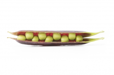 Blauschokker Peas