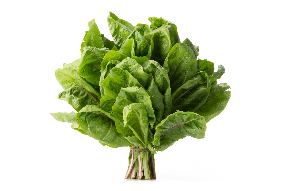 Rosso di Treviso Leaves