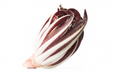 Lettuces