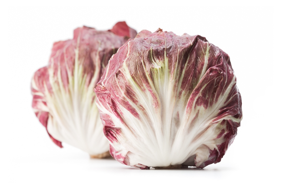 Chioggia Radicchio