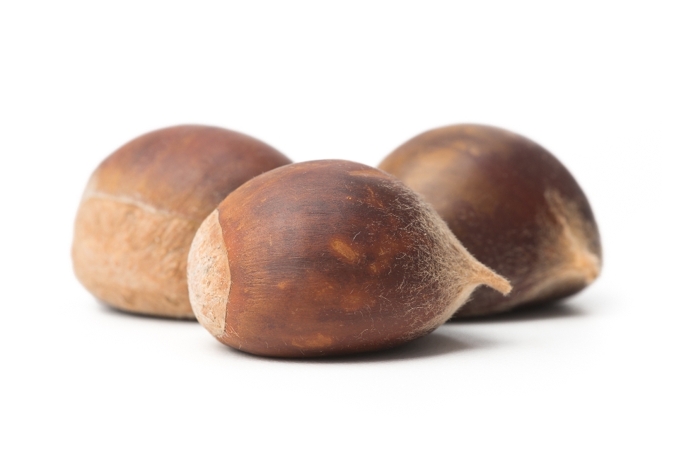 Chinese Chestnuts