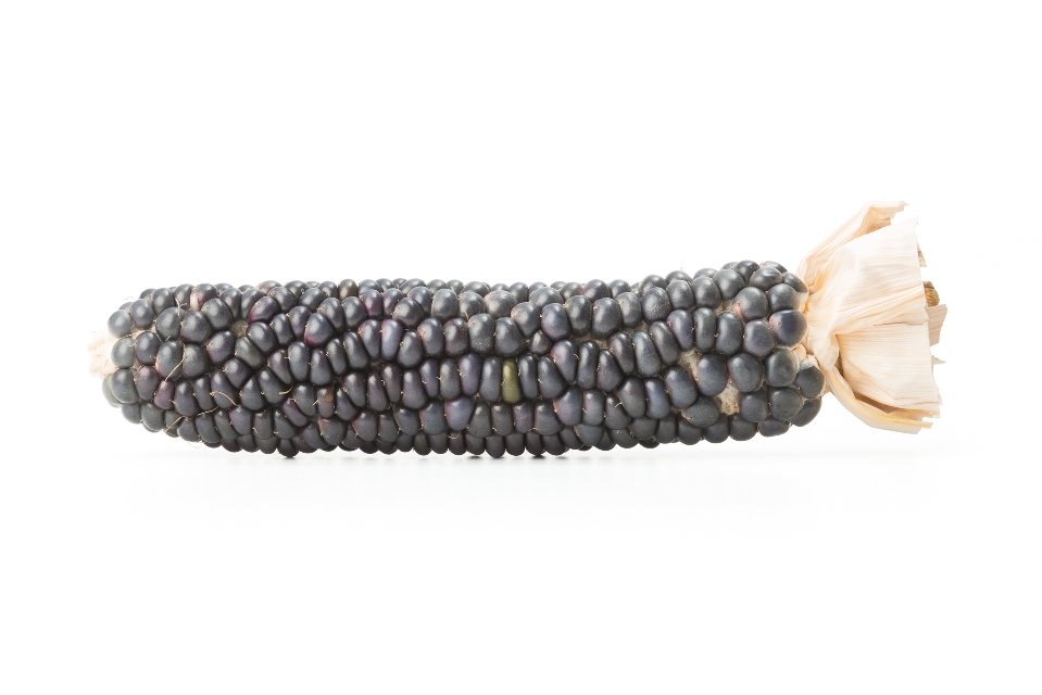 Jerry Petersen Blue Corn