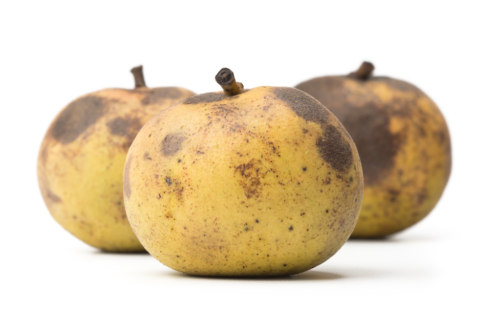 Black Walnuts