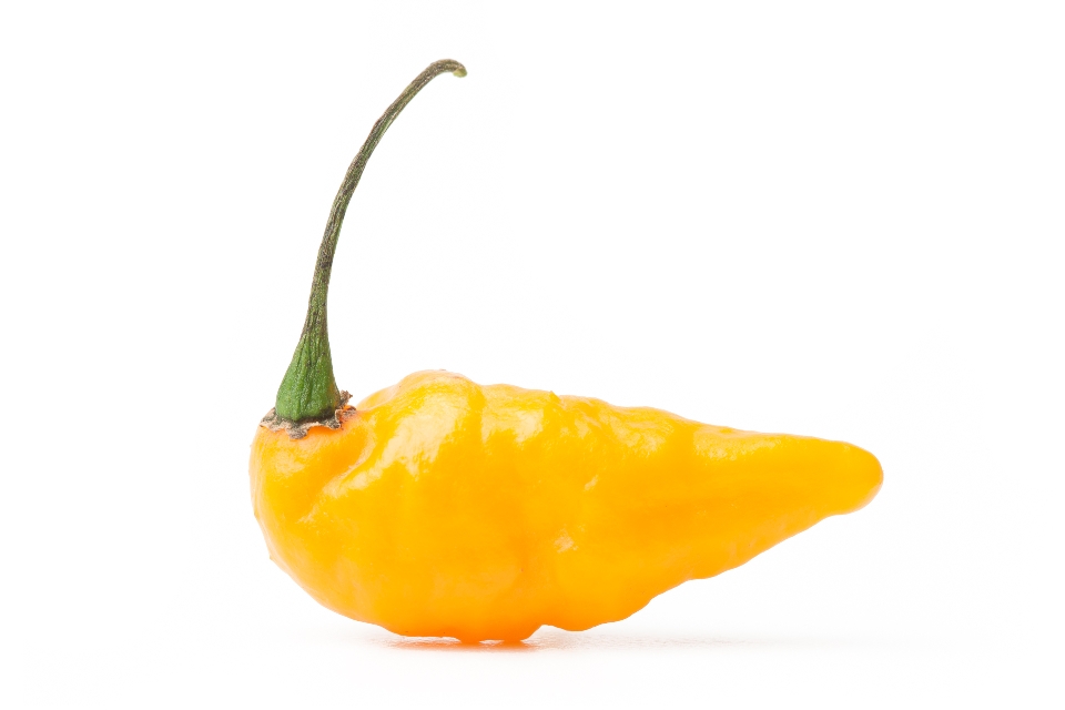 Eckerton's Unnamed Pepper