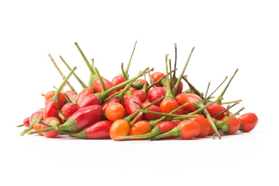 Tiny Red Peppers