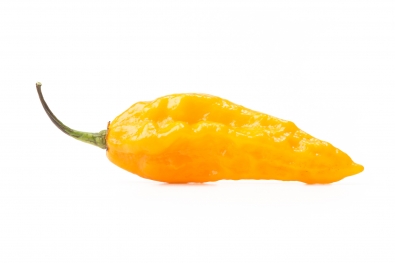 Fatalii Pepper