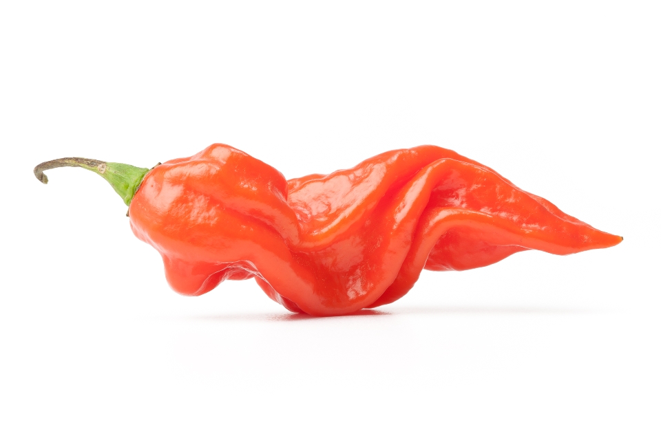 Red Lightening Pepper