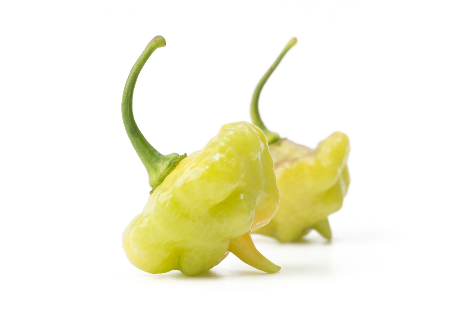 Green Aji Dulce Peppers