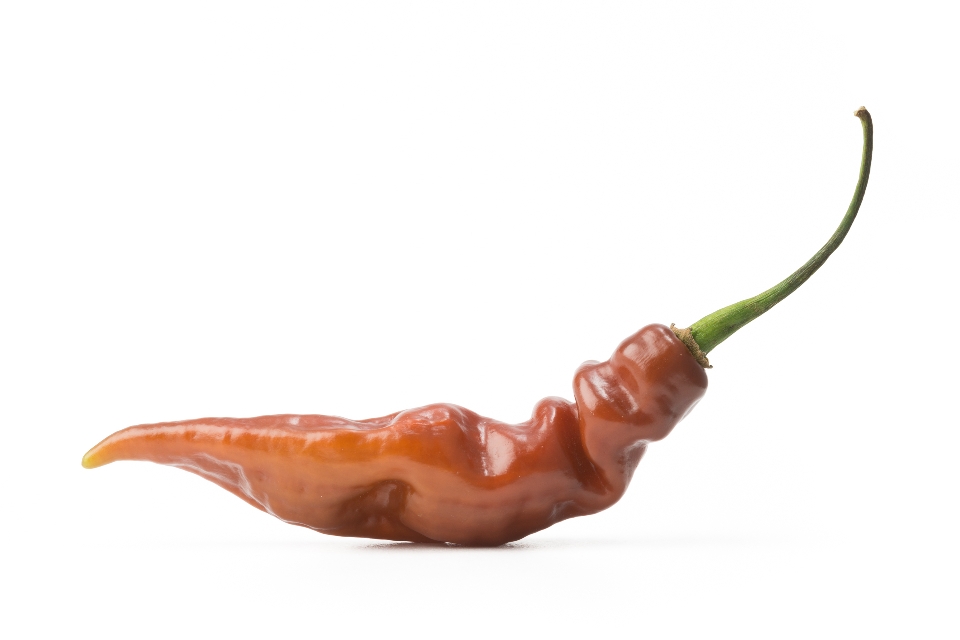 Chocolate Lightening Pepper