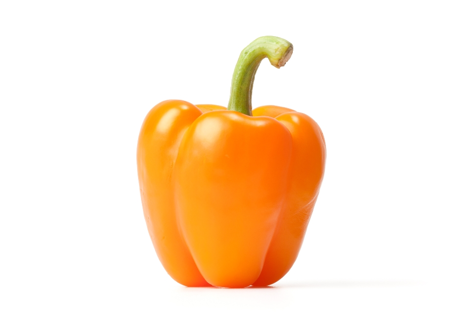 Orange Bell Pepper