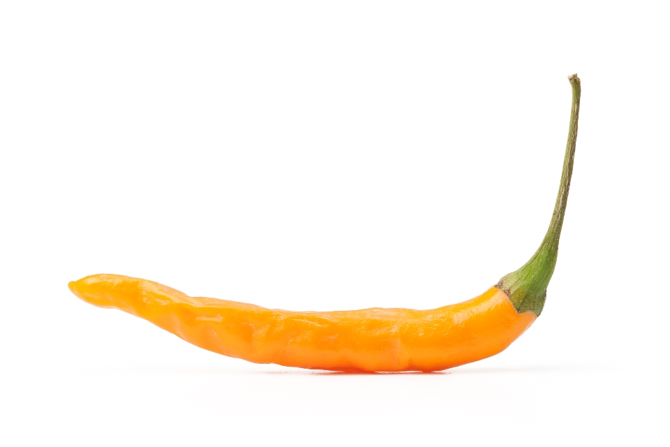 Orange Thai Bird's Eye Chili