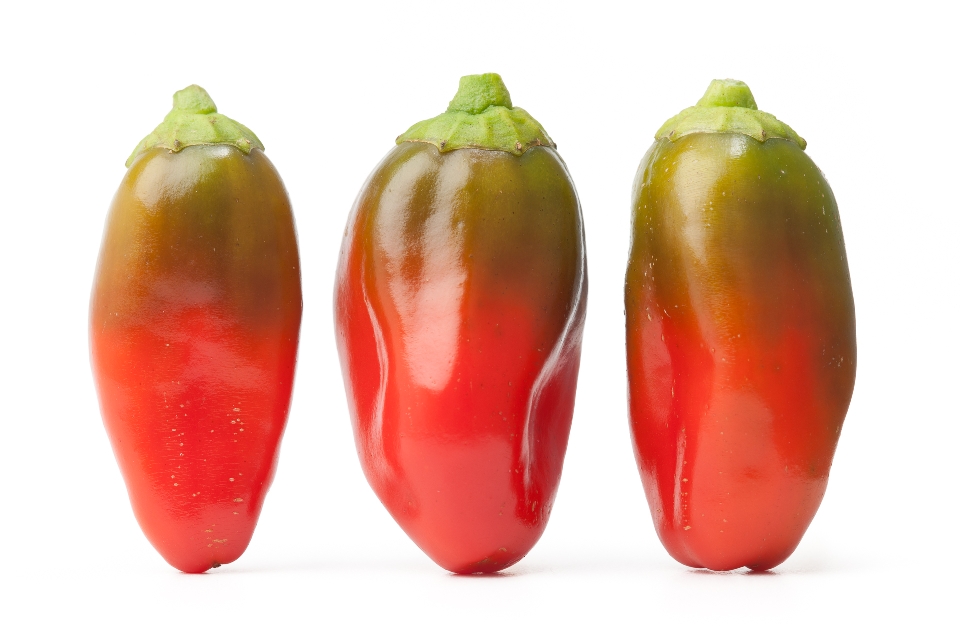 Red and Green Yummy Peppers