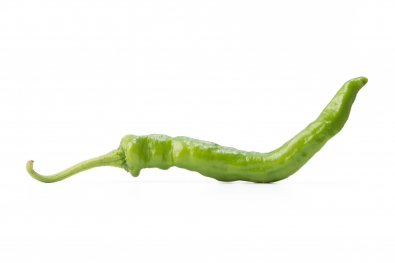 Green Fushimi Pepper