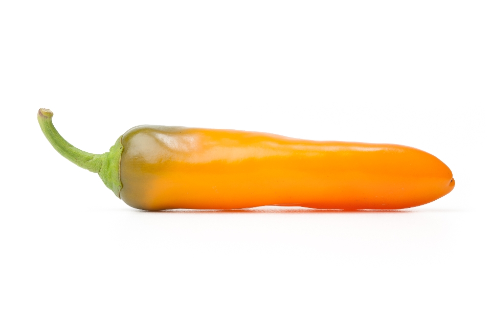 Orange and Green Yummy Pepper