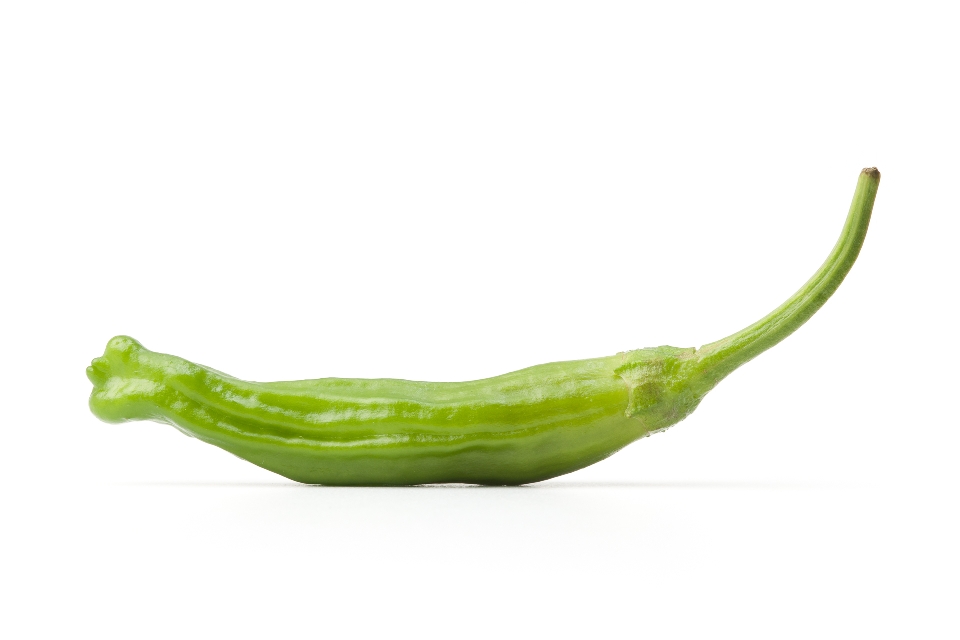 Green Shishito Pepper