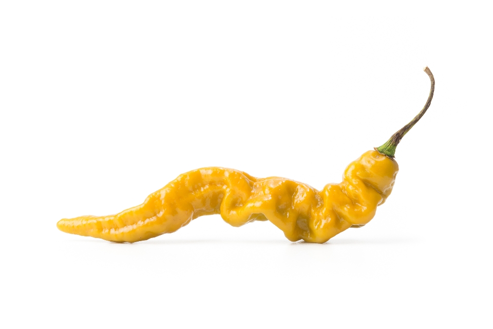 Mustard Lightening Pepper