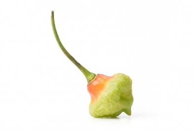 Green and Red Aji Dulce Pepper