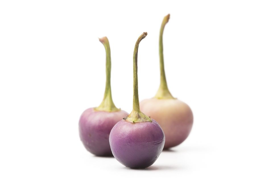 Mini Round Purple Eckerton Peppers