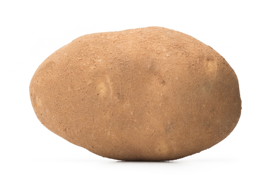 Russet Potato