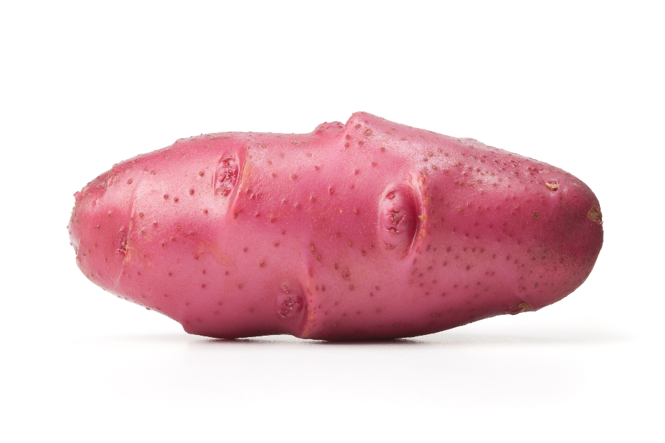 Red Thumb Potato