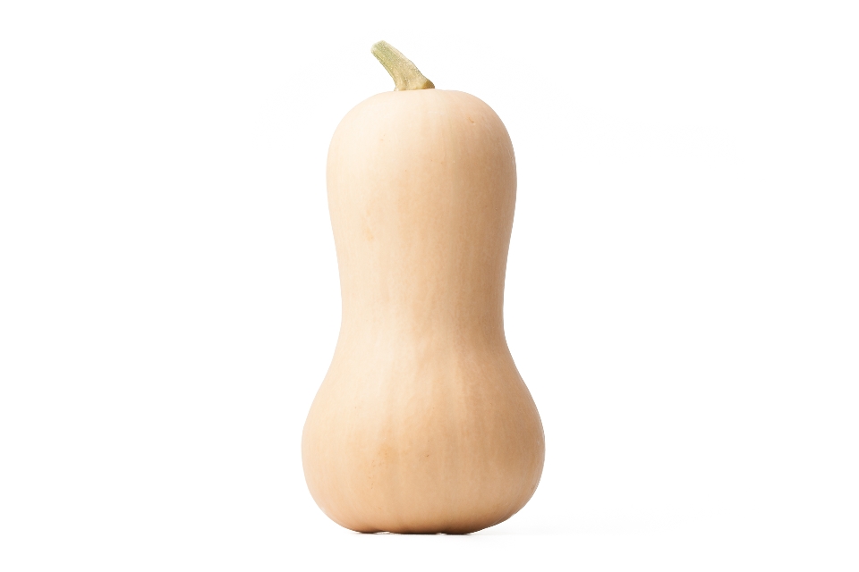 Butternut Squash