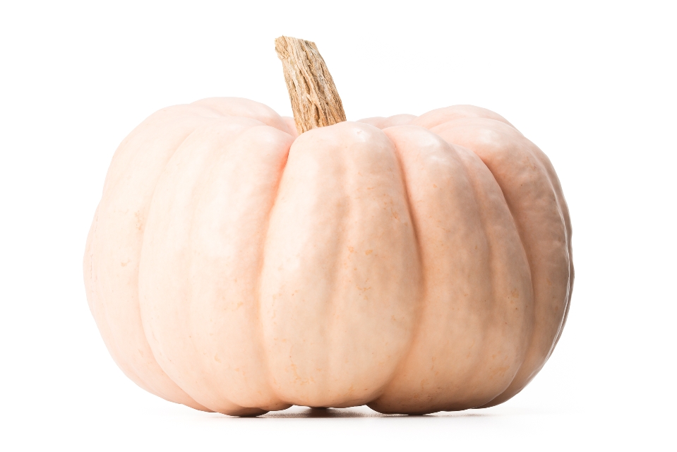 Porcelain Doll Pumpkin