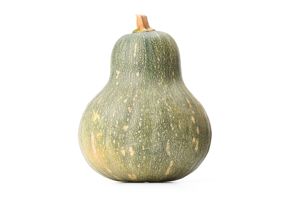 Calabaza Mexicana