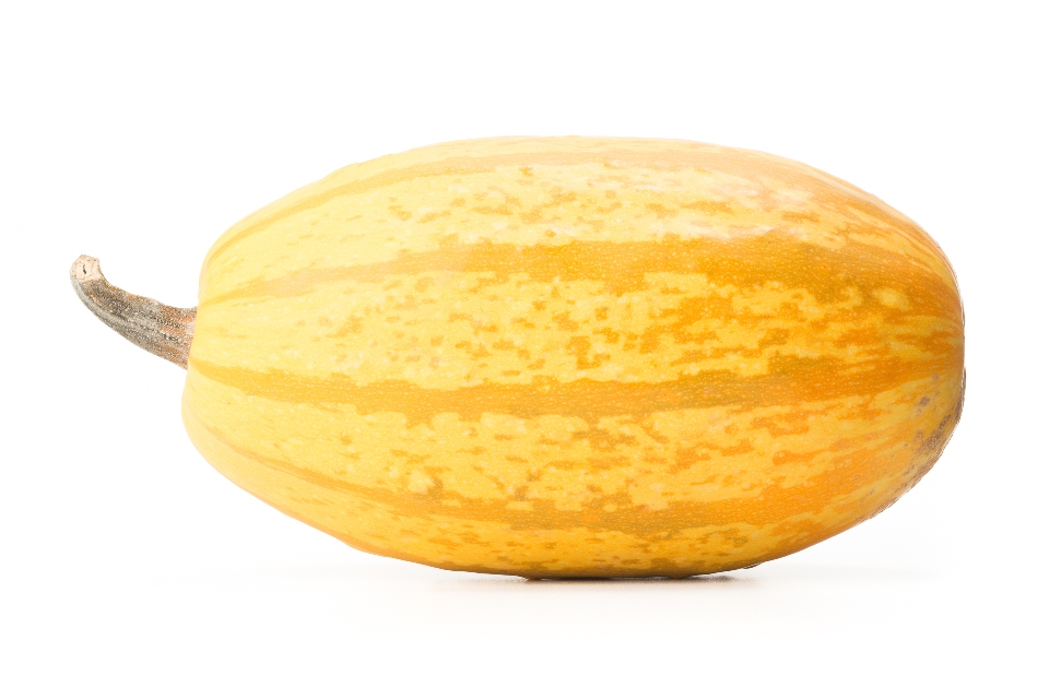Squisito Squash