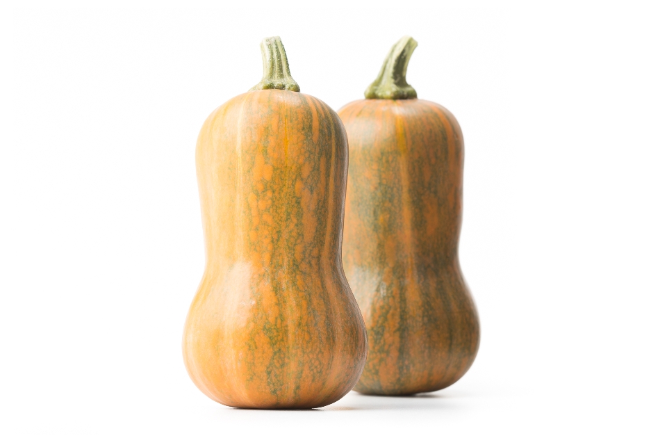 Honeynut Squash