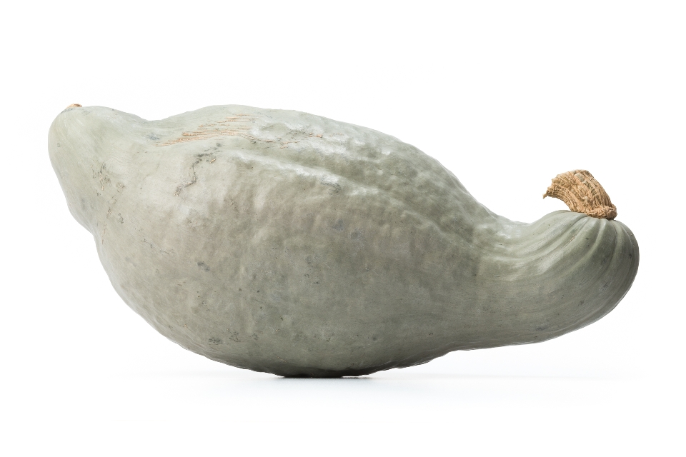 Blue Hubbard Squash