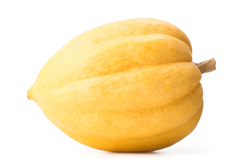 Golden Acorn Squash