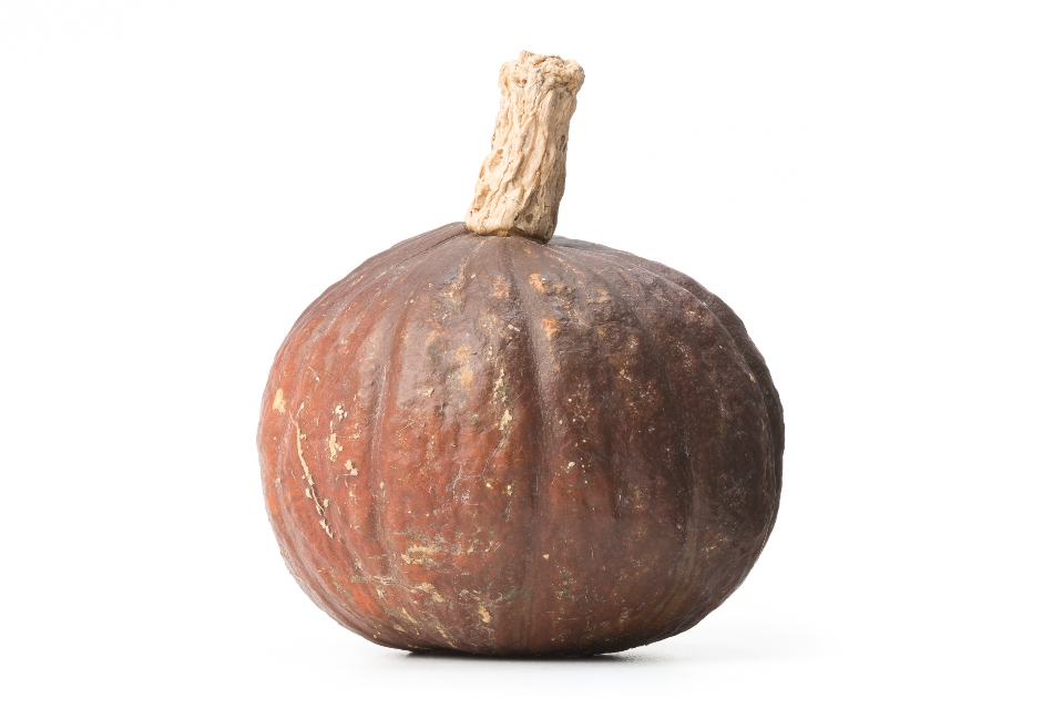 Brown Kabocha Squash