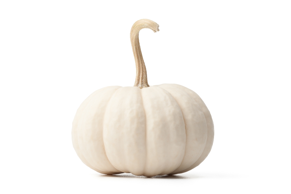 White Jack Be Little Pumpkin