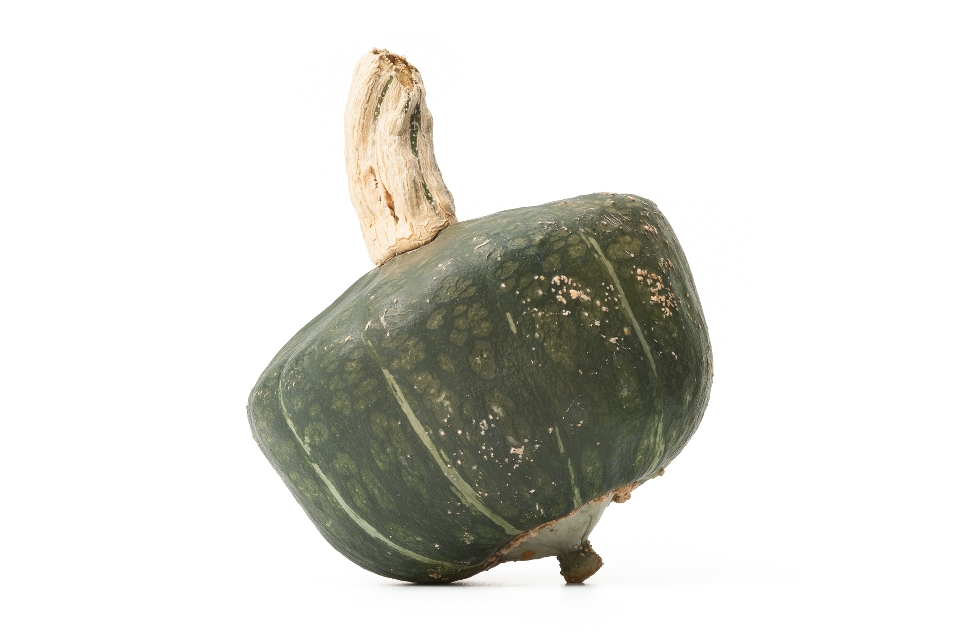 Buttercup Squash