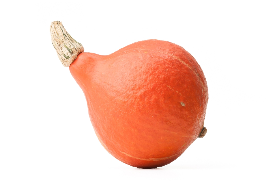 Red Kuri Squash