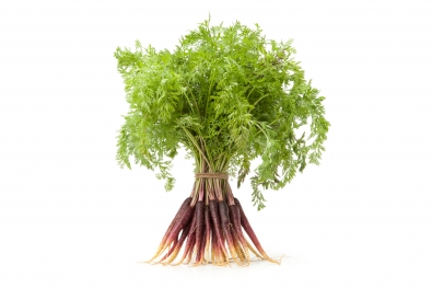 Purple Haze Carrots with Greens