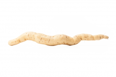 O' Henry Sweet Potato